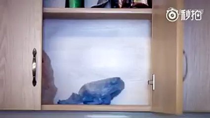 طريقة جميلة ومبتكرة لترتيب الاكياس في المنزل  جربوها