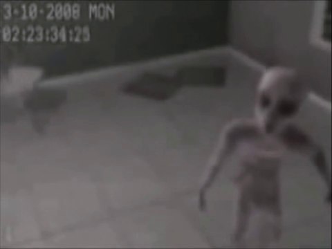 Incredible angels of hell. The US military holds an extraterrestrial near Mexico. Incroyable anges de l'enfer. L'armée Américaine détient un extraterrestre près du Mexique.