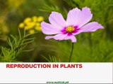 FSc Biology Book2, CH 18, LEC 1; Introduction to Reproduction, Reproduction in Plants