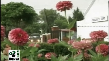 Alpha Bravo Charlie Classic PTV Drama 1998 Episode 10