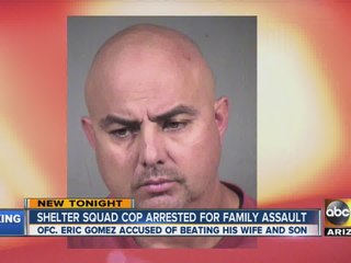 Shelter squad officer arrested for family assault