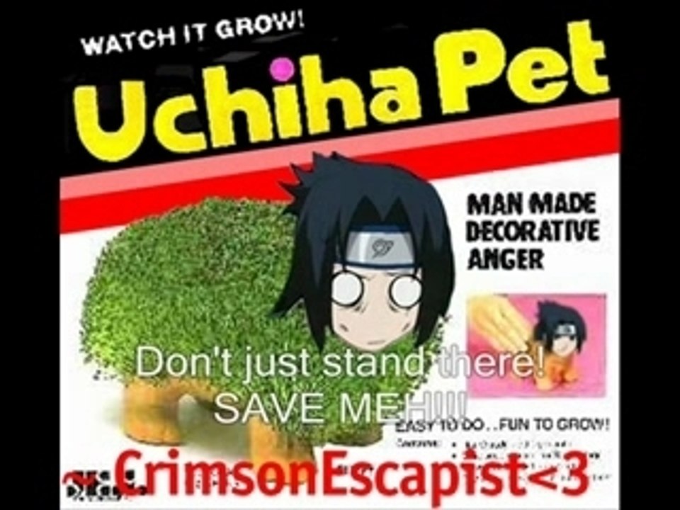 Kakashi-sensei's cruel reality