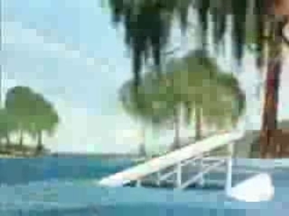 Wally Gator