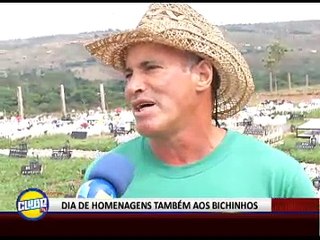 SAUDADE DOS PETS NO DIA DE FINADOS