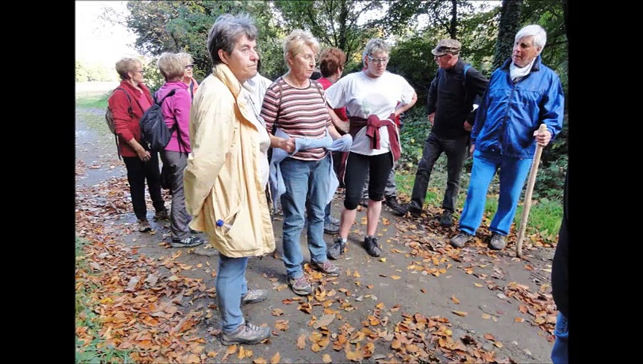 2015-11-03 De Brusvilly à Trébédan