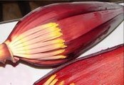 What are the Health Benefits of an Eating banana flower for your body