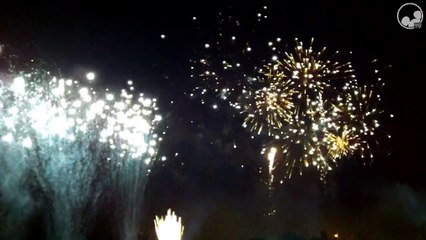 Les Feux Magiques de Disney - Edition 2015