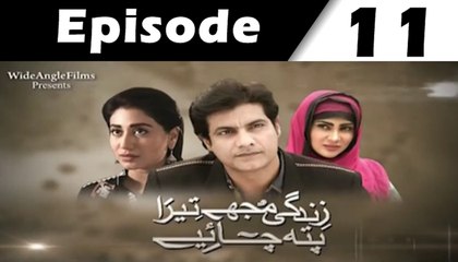 Zindagi Mujhay Tera Pata Chahiye Episode 11 Full on Ptv Home