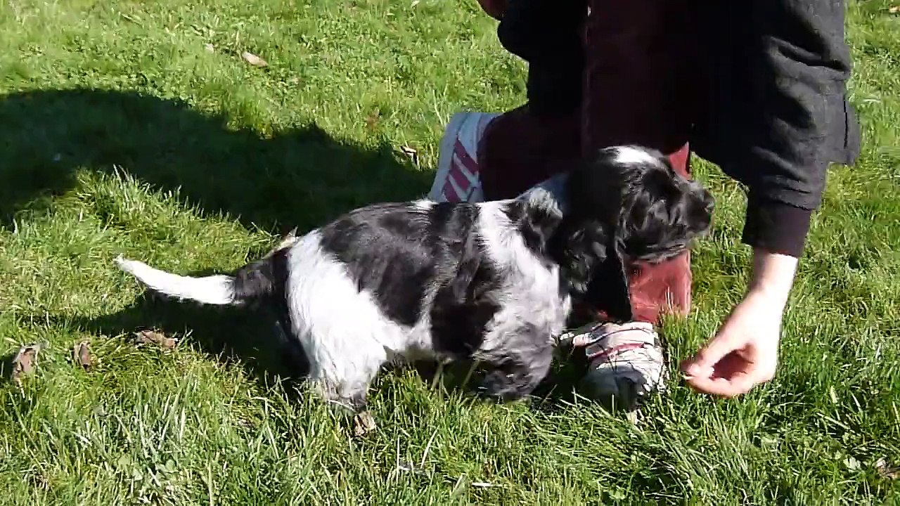 Présentation Lullaby-7 semaines