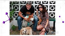 George Clooney Adopts A Dog, Dan Aykroyd Praises Ghostbusters Reboot And More in Pop New