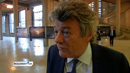 Jean-Louis Borloo explique son plan d'électrification de l'Afrique