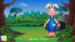 Rabbit (Bunny) Finger Family | Nursery Rhymes For Children Childrens Song