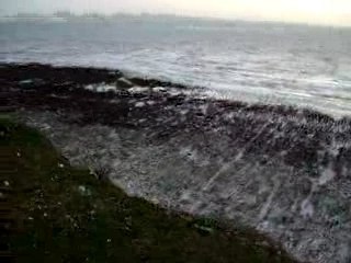 Beachy Head - Daredevil