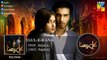 Gul E Rana Full Audio OST  Sajjal Ali  Feroze Khan  HUM TV Drama