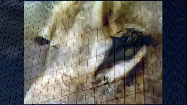 Lion Attacks Zebra Animal Attacks And Loves when animals attack