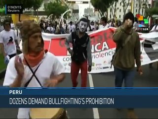 Peru: Demonstrators Demand Bullfighting be Banned