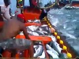Dinamitle Balık Avlamak - Komik videolar - Funny videos