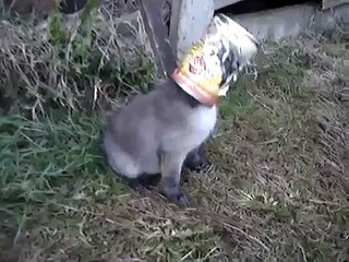 Kask Takmak Önemlidir ! - Komik videolar - Funny videos