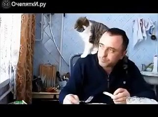 Шапка-попрошайка