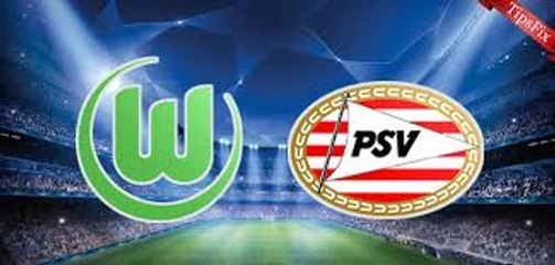 PSV vs Wolfsburg 2-0 All Goals & Highlights 2015
