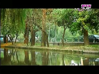 Zindagi Mujhay Tera Pata Chahiye Episode 11