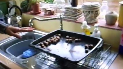 Funny Food Fails from the JukinVideo Vault