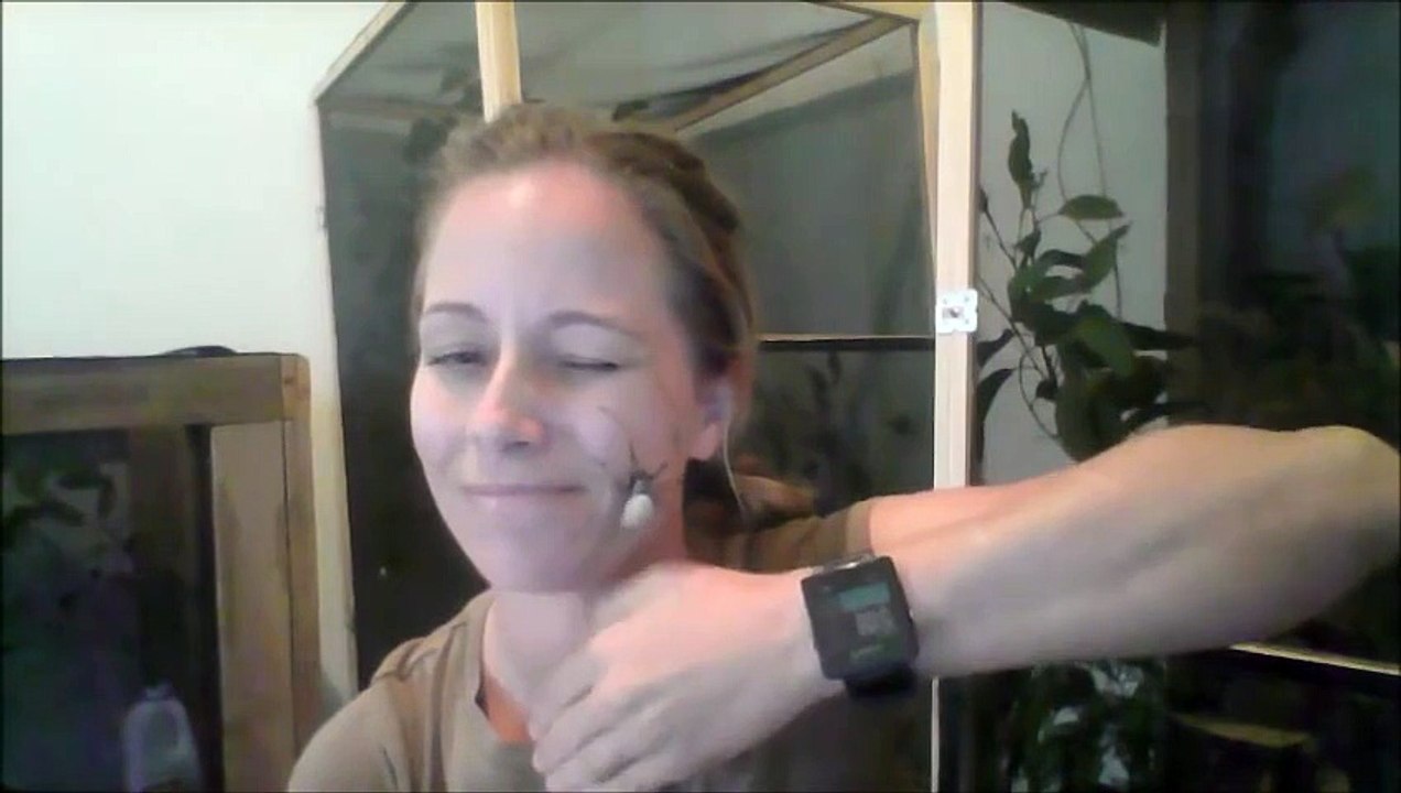 OMG cette fille a une araignée énorme sur elle ! Beurk beurk beurk !!!!