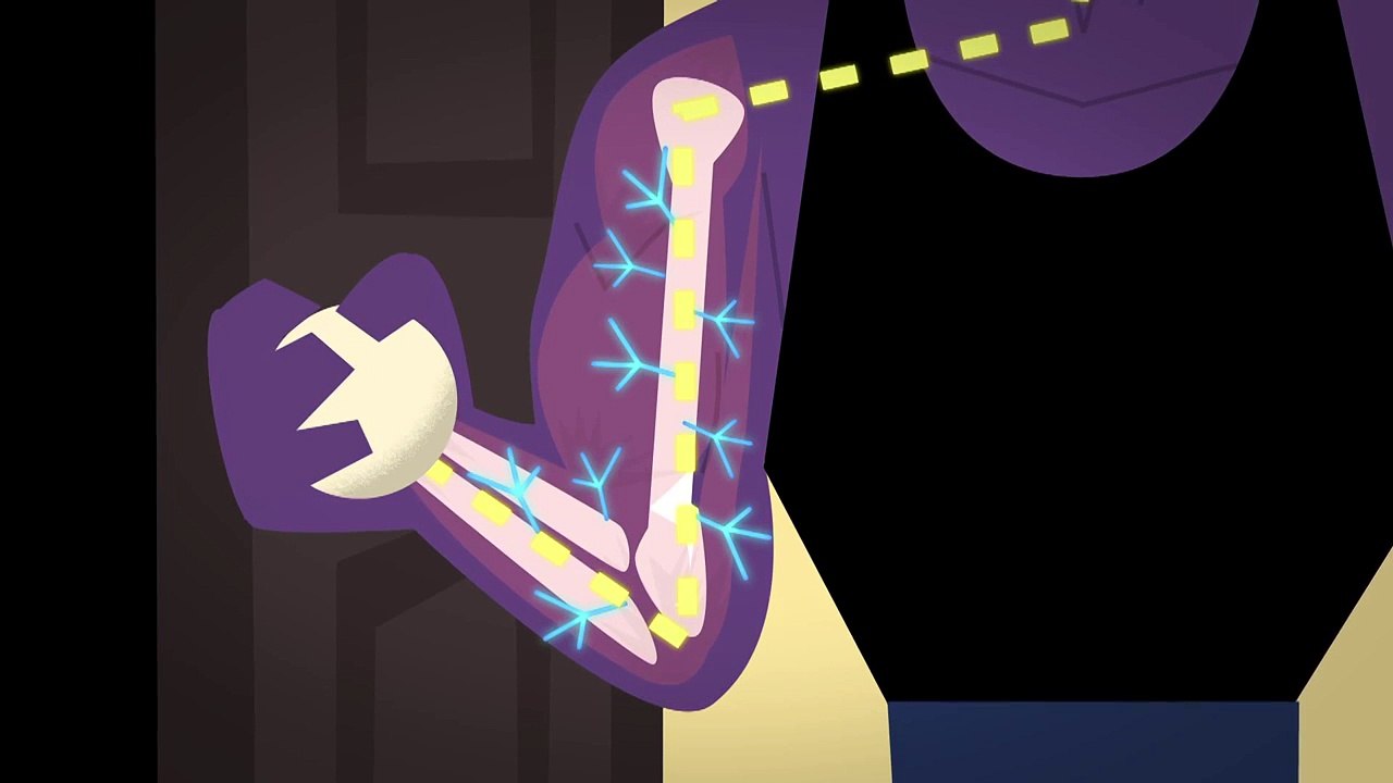 What makes muscles grow