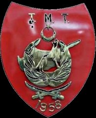 Türk Mukavemet Teşkilatı