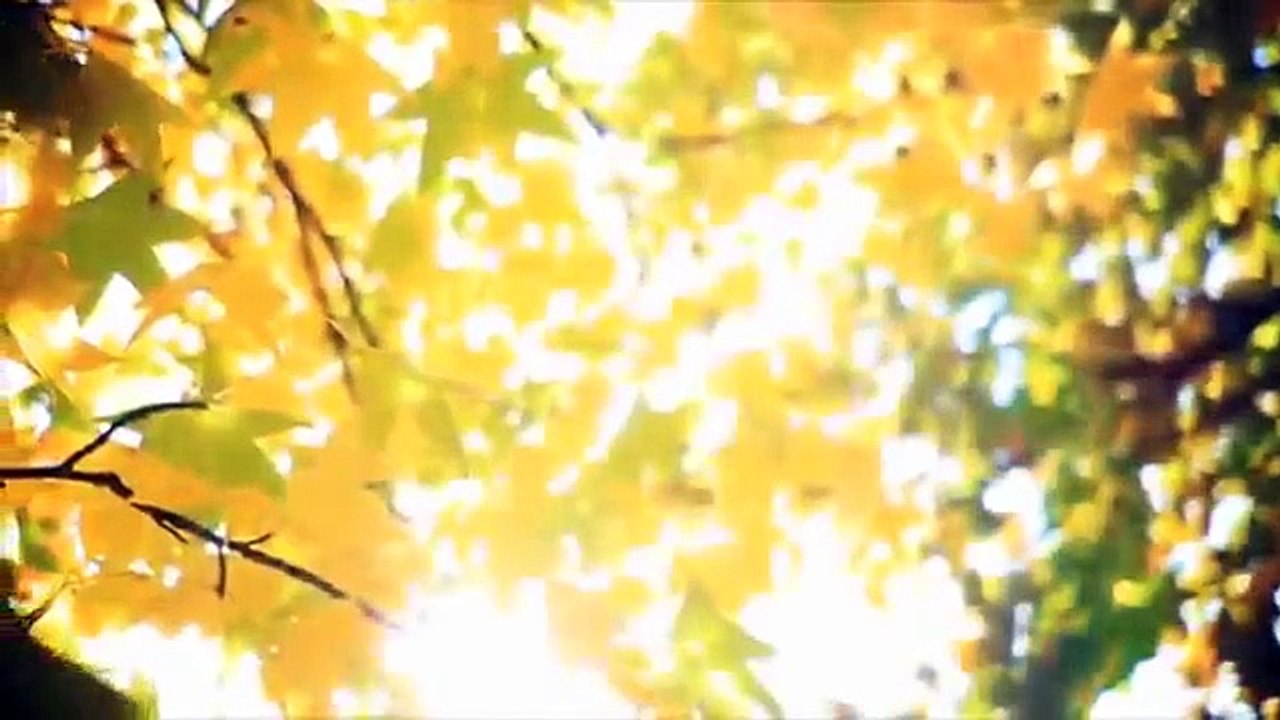 Убеждения и судьба (часть 1). Ада Конде