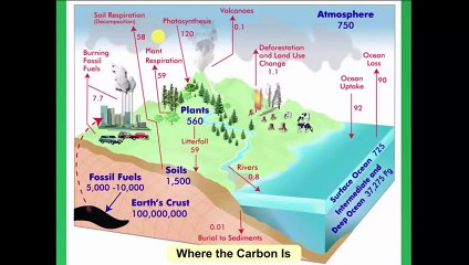 The Moral Case for Fossil Fuels