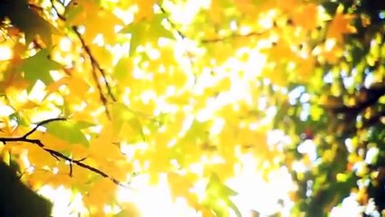 Как правильно мечтать и почему мечты не исполняются? Ада Конде