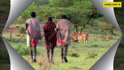 3 Men Vs 12 Hungry Lions