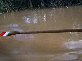 Arnold remando en el Delta del Tigre