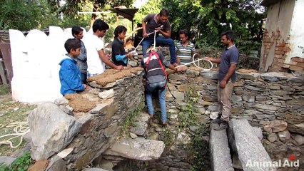 Heartwarming rescue of dog fallen in well