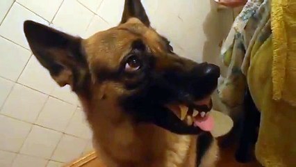 Быстрая смена настроения -)