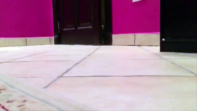 Зловещий смех попугая!!