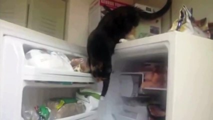 Идеальное преступление!