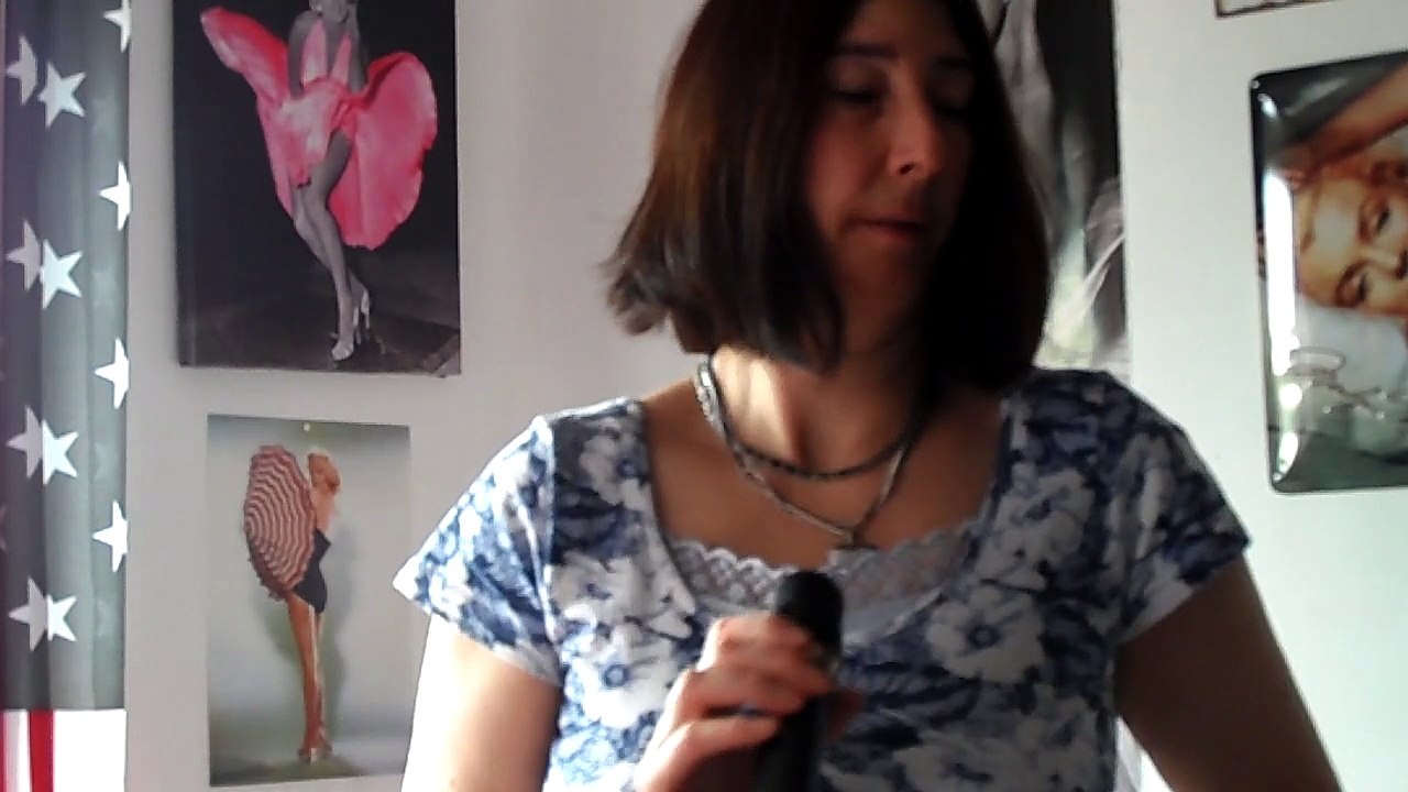 laurent voulzy  le coeur  grenadine