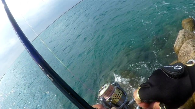 2015 0309 石垣一文字　白灯台