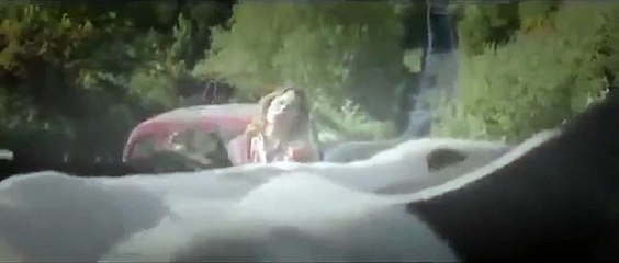 Verlobung auf Umwegen