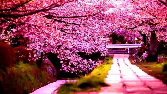 Классическая Музыка для Сна. Слушать Классическую Музыку для Сна.