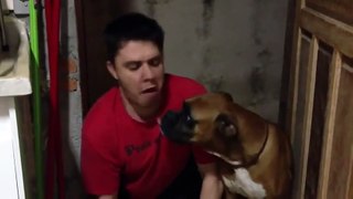 guy makes fun of a dog