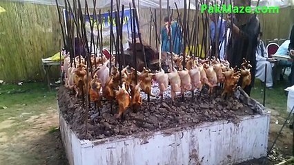 PAKISTANI FUNNY CLIPS 2015 HOT CHICKS SAJJI VIDEOS