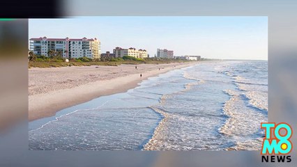 サメがひれで攻撃し脚かむ　米