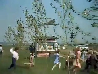 Plane Landing on the Road Amazingly ..... Must Watch