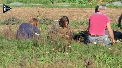 Au coeur de la ZAD de Notre-Dame-des-Landes