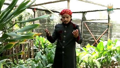 Punjabi Naat Aqa Da Meelad Manao Gaj Waj Kay l Muhammad Ismail Qadri