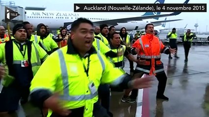 Les All-Blacks accueillis en héros à leur retour