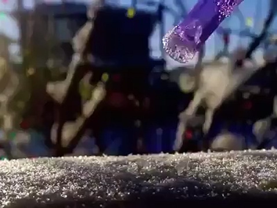 A bubble frozen in a Calgary winter